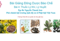 Bài 4 Thuốc Lý Khí, Lý Huyết-Pgs Bs Nguyễn Thanh Sơn- PCH hội trưởng tịnh độ cư sĩ Phật hội Việt Nam